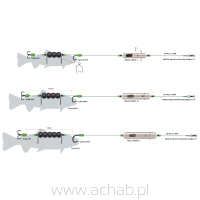 ADJUSTA PROFI RIVER RIG DEADBAIT